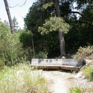 Conn Bench in the Meadow View (Bench #16)