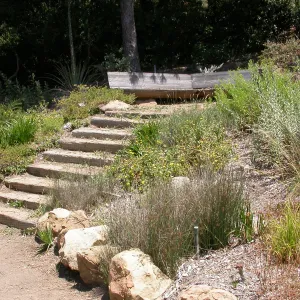 Conn Bench in the Meadow View (Bench #16)