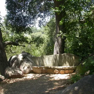 Bissel Bench in Meadow Oaks (Bench #12)