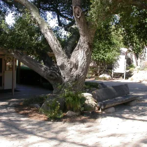 Cornell Bench at entrance (Bench #1)