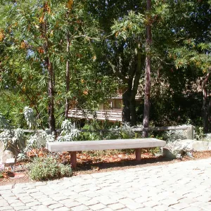 Silipo Bench at parking lot (Bench #21)