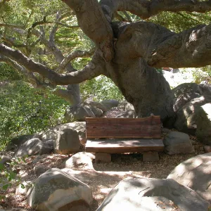 Weininger Bench in Manzanita Section (Bench #52)