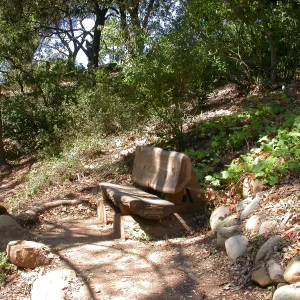 Overeem Bench (Bench #44)