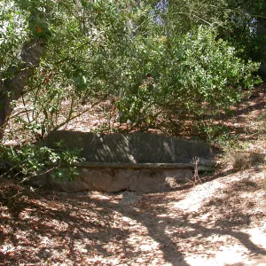 Kenward Bench (Bench #45)