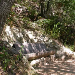 Easton Bench in the Island Section (Bench #46)