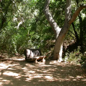 Emanuel Bench (Bench #41)