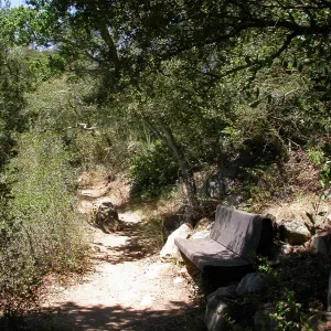 Hooper Bench (Bench #33)