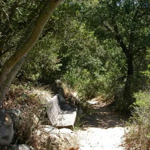 Hooper Bench (Bench #33)