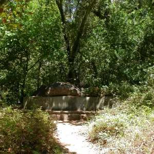 Campbell Bench (Bench #24)