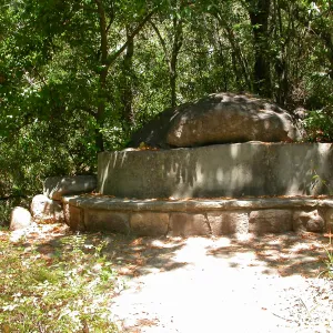 Campbell Bench (Bench #24)