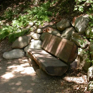 Wentink Bench (Bench #26)