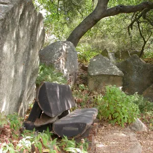 Haim Bench (Bench #32)