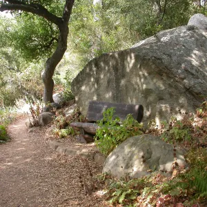 Haim Bench (Bench #32)