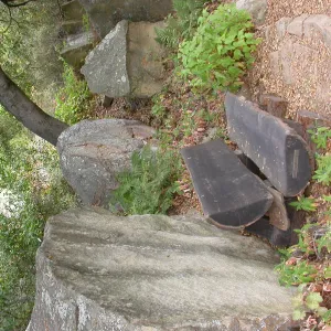 Haim Bench (Bench #32)