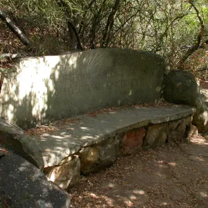 Pritchett Bench (Bench #34)