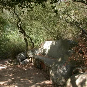 Pritchett Bench (Bench #34)