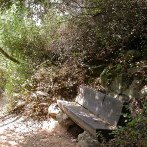 Janeway Bench (Bench #35)