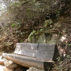 Janeway Bench (Bench #35)