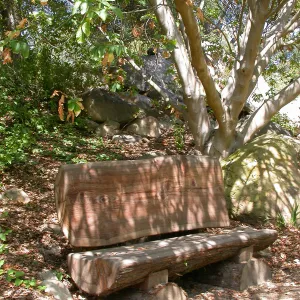 Kahlstrom Bench (Bench #58)