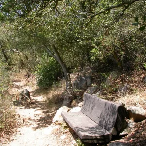 Hooper Bench (Bench #33)