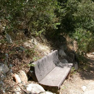 Hooper Bench (Bench #33)