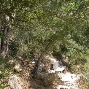 Hooper Bench (Bench #33)