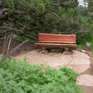 Thomas Holton Bench in Meadow