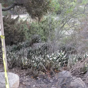 directional sign in the Desert Section after the Jesusita Fire