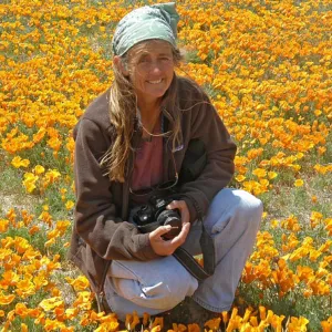 Sally Isaacson, field of poppies, Antelope Valley