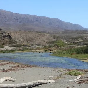Santa Cruz Island field trip, 2009