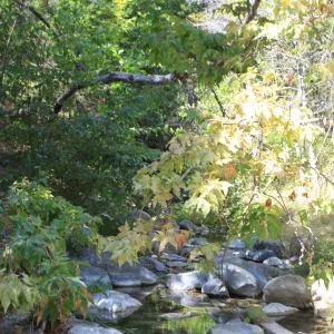 Arroyo Hondo Creek