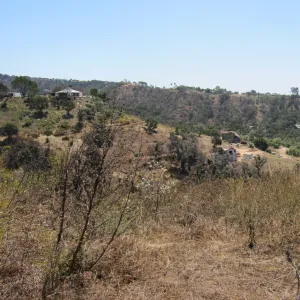 views from RAWS site, site review on SBBG Tipton Ridge