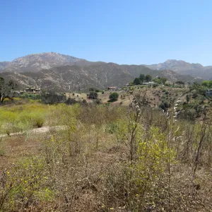 RAWS site review on SBBG Tipton Ridge