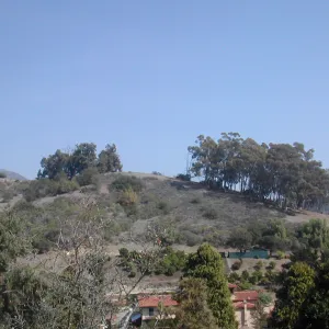 view of Tipton Ridge (RAWS site)