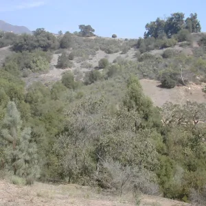 view of Tipton Ridge (RAWS site)