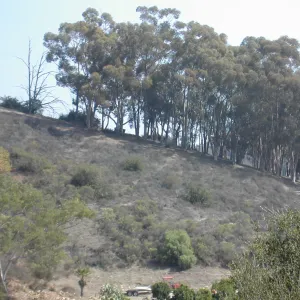 view of Tipton Ridge (RAWS site)