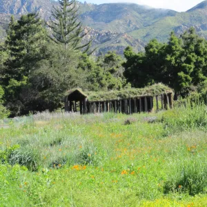 Haven, Herb Parker structure in the Meadow