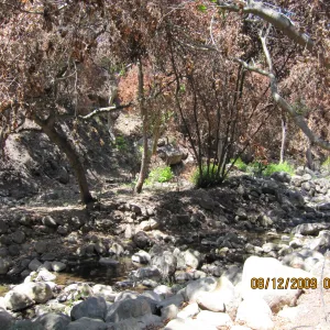 Mission Creek after the Jesusita Fire