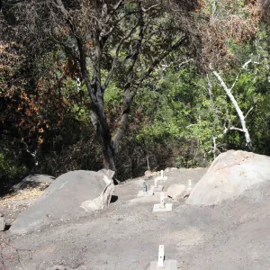 construction of new Home Demonstration Deck, after the Jesusita Fire