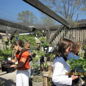 SBBG staff in the Garden Growers Nursery before the Plant Sale