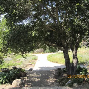 walkway to Blaksley Boulder and the Information Kiosk