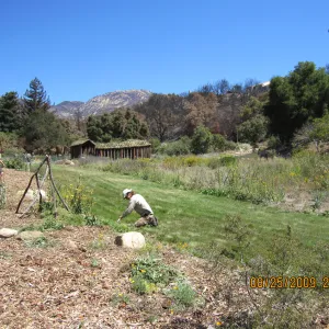 extended lawn in the Meadow