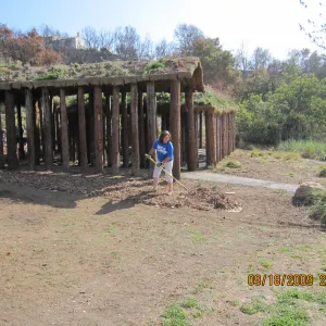 Day of Caring, volunteer activity