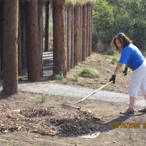 Day of Caring, volunteer activity