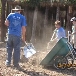 Day of Caring, volunteer activity