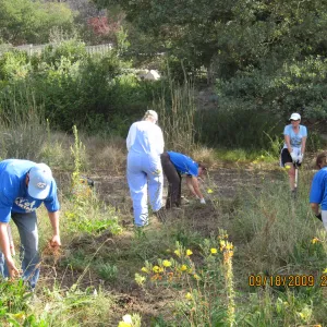 Day of Caring, volunteer activity