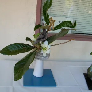 ikebana, floral arrangement