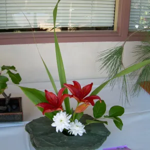 ikebana, floral arrangement