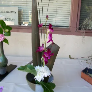 ikebana, floral arrangement