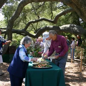 Volunteer Luncheon, 2004